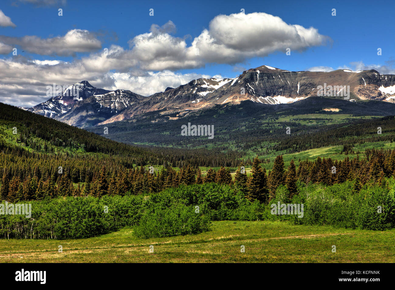 Le Glacier National Park, Montana, USA Banque D'Images