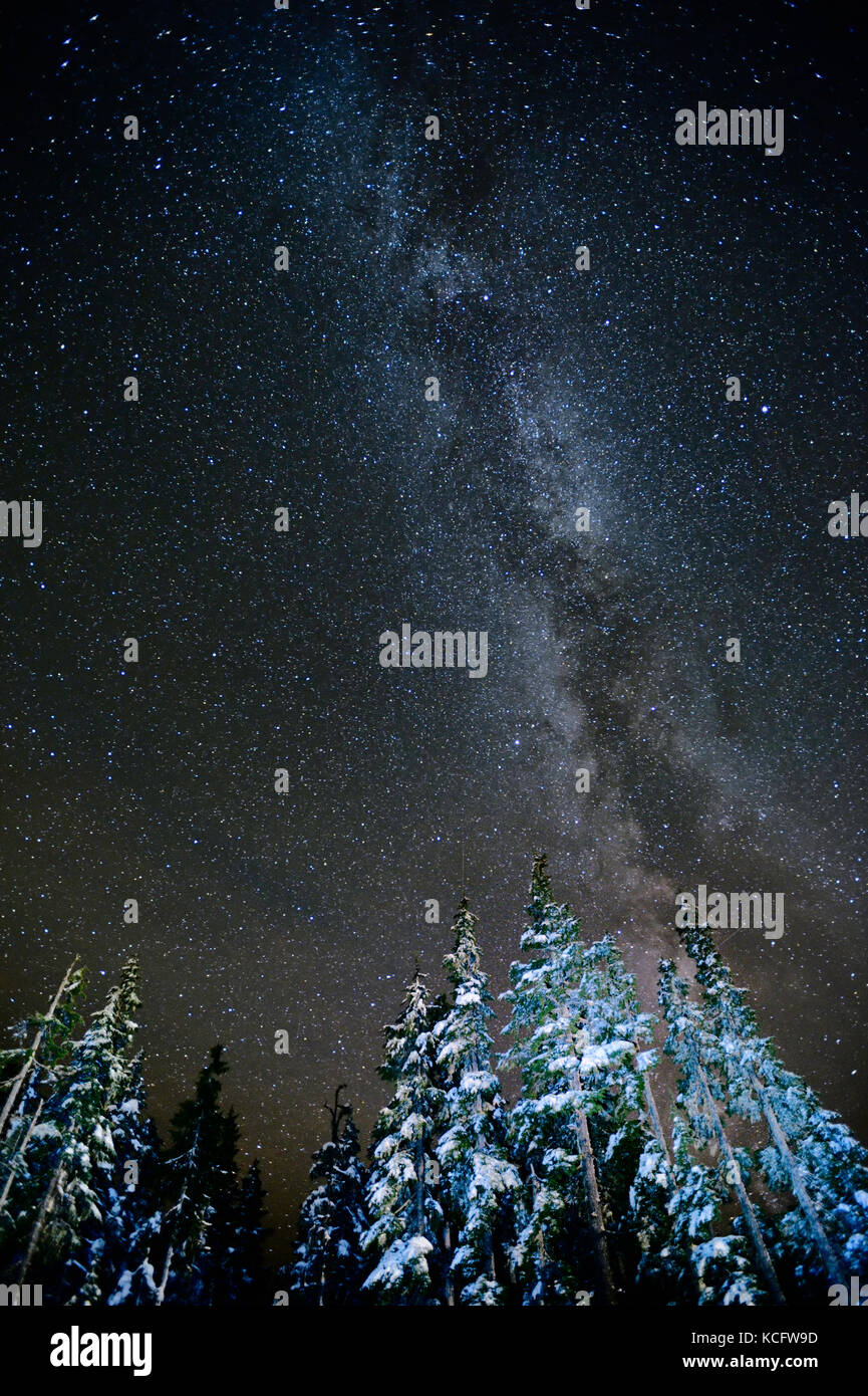 Voie lactée, le mont Washington, l'île de Vancouver, BC, Canada Banque D'Images