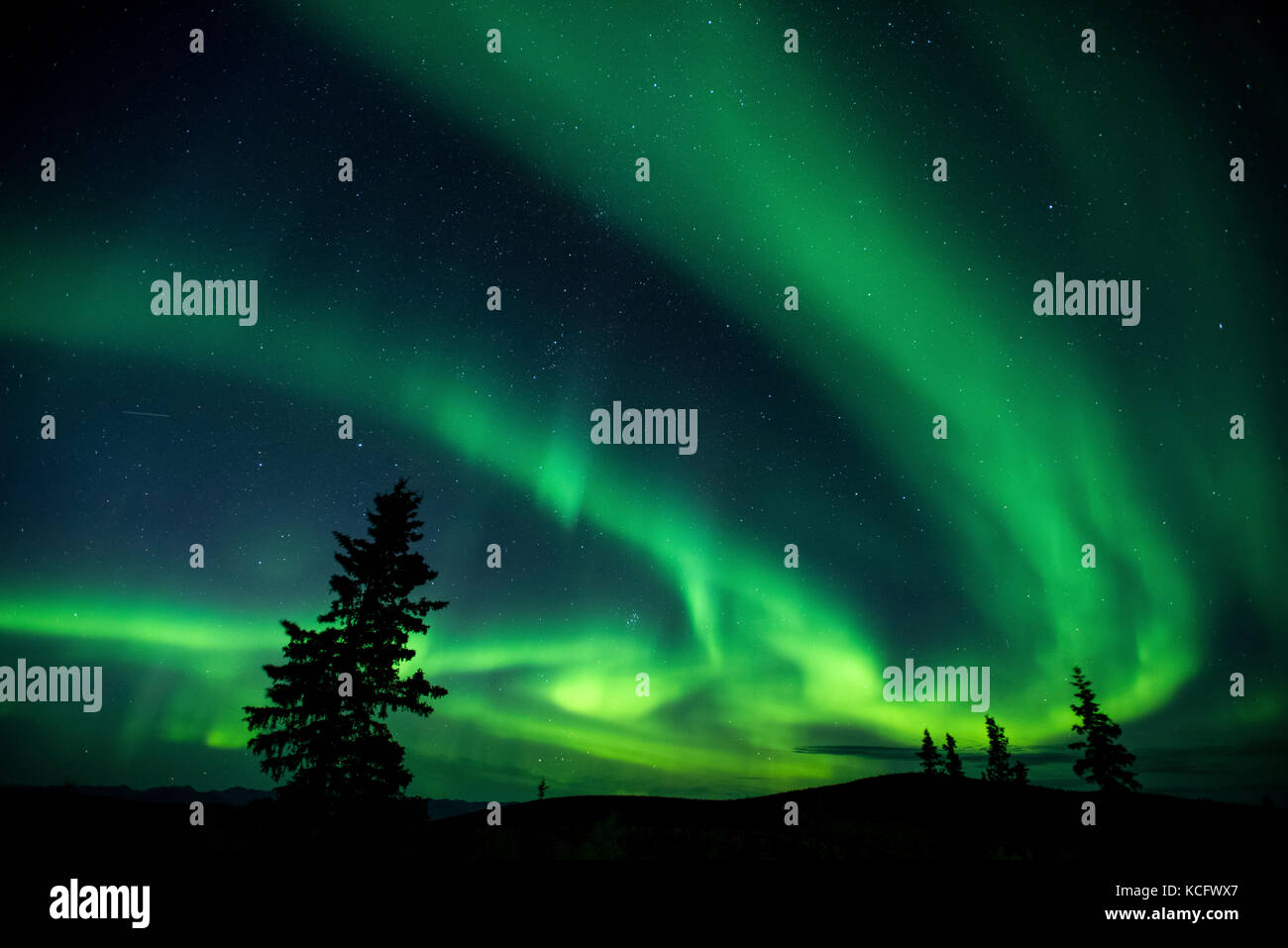 Aurora Borealis, Dawson City, Yukon, Canada Banque D'Images