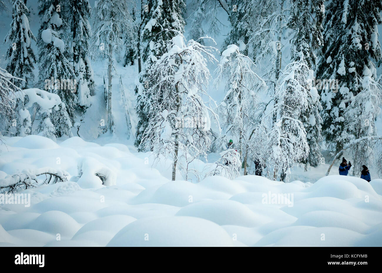Paysage arctique en Laponie Finlande Banque D'Images