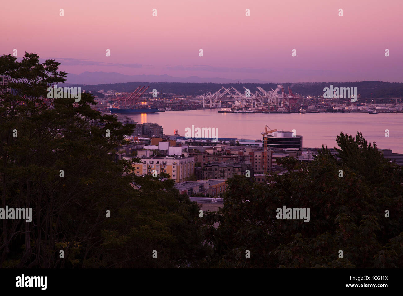 Washington Seattle skyline at night de Queen Anne's Hill avec Space Needle Banque D'Images