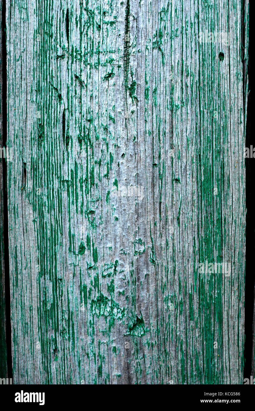 12.2005 weathered shabby chic vert émeraude conseil en bois peint texture, front view Banque D'Images