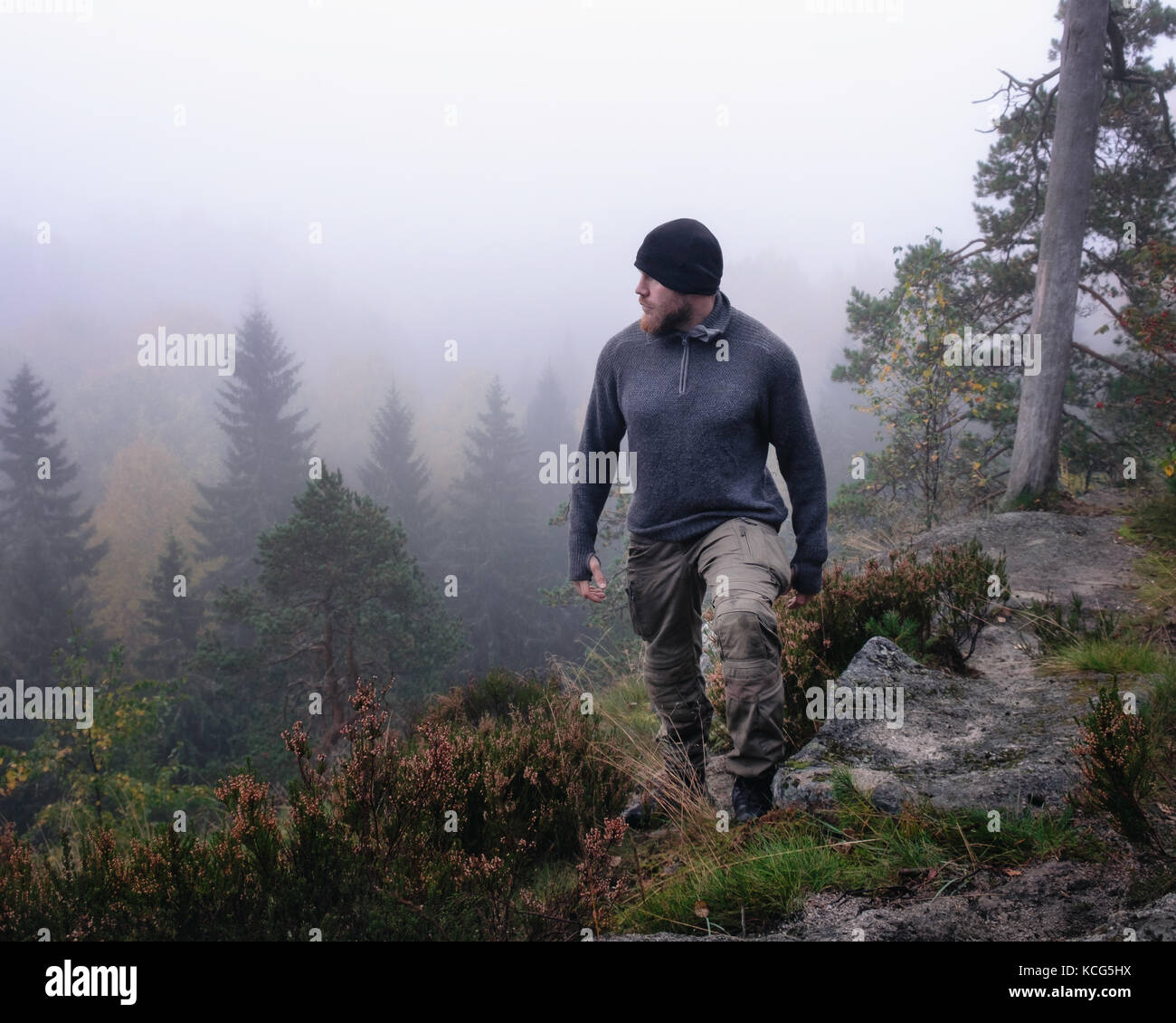 Homme randonnée dans la forêt au matin brumeux Banque D'Images