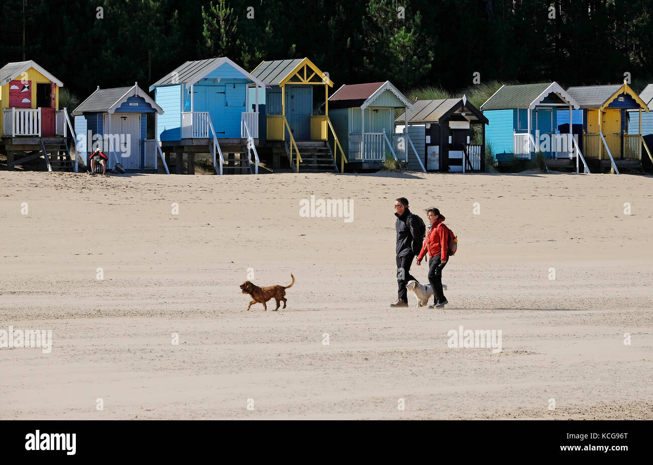 Les gens promenade de chiens sur wells-next-the-sea beach, North Norfolk, Angleterre Banque D'Images