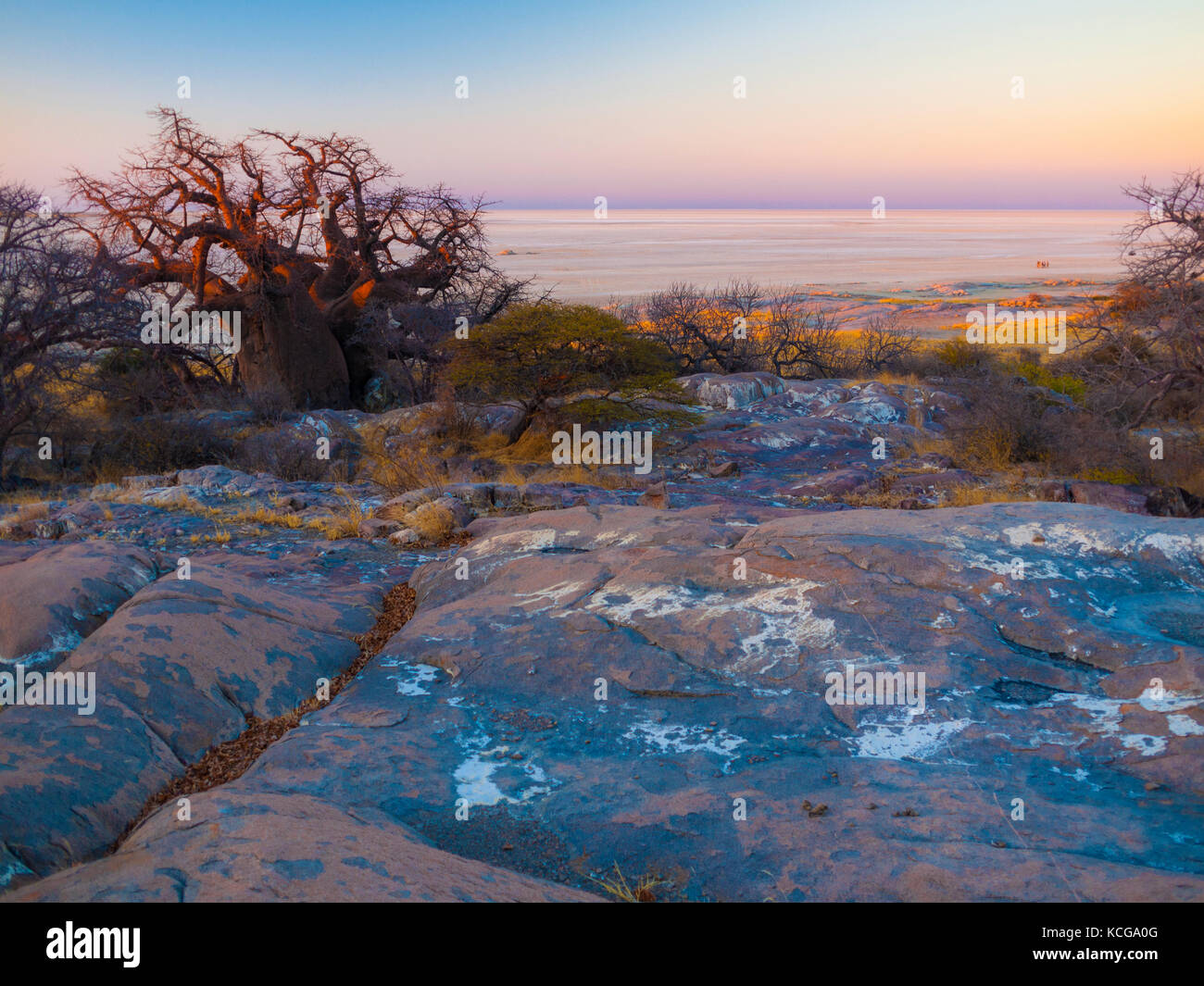 Kubu Island, Botswana Banque D'Images