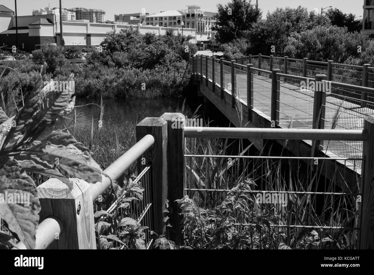 Les bâtiments, les ponts, et les buissons Banque D'Images