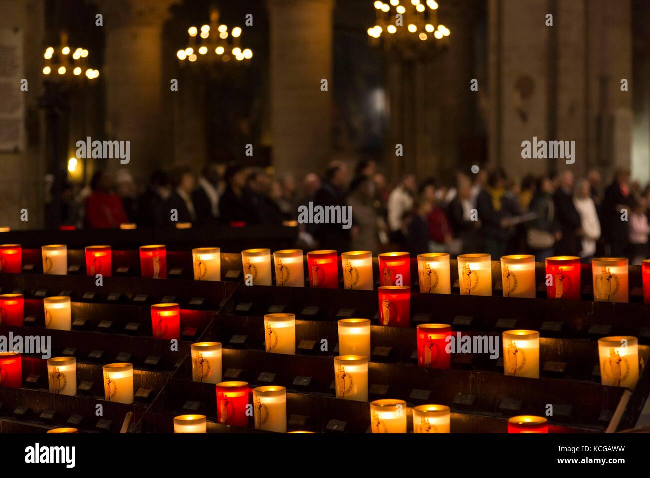 La Cathédrale Notre-Dame, l'Ile de la Cité, Paris, France. Banque D'Images