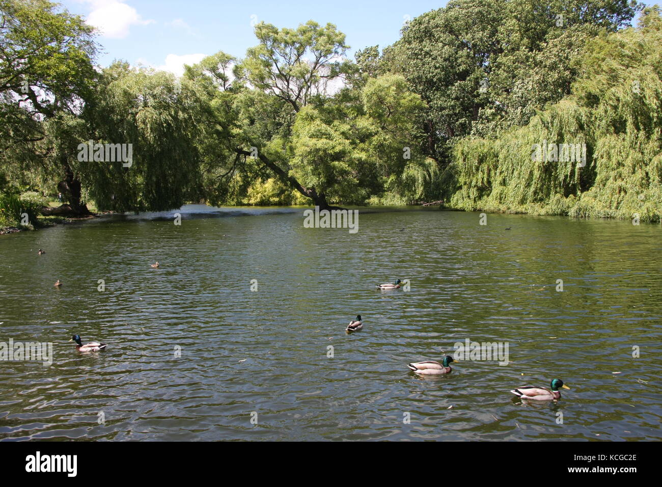 Vue sur les jardins de Thwaite Hall à Cottingham, dans le Yorkshire de l'est Banque D'Images