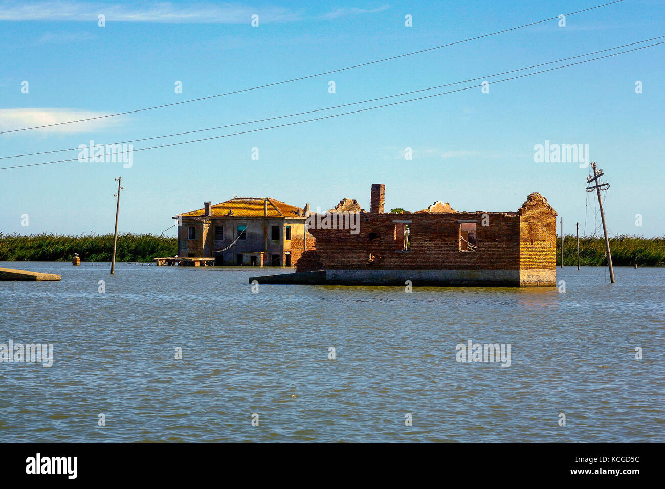 Italie park du delta du fleuve po porto tolle -la végétation et reste de maisons Banque D'Images Italie park du delta du fleuve po porto tolle -la végétation et reste de maisons Banque D'Images