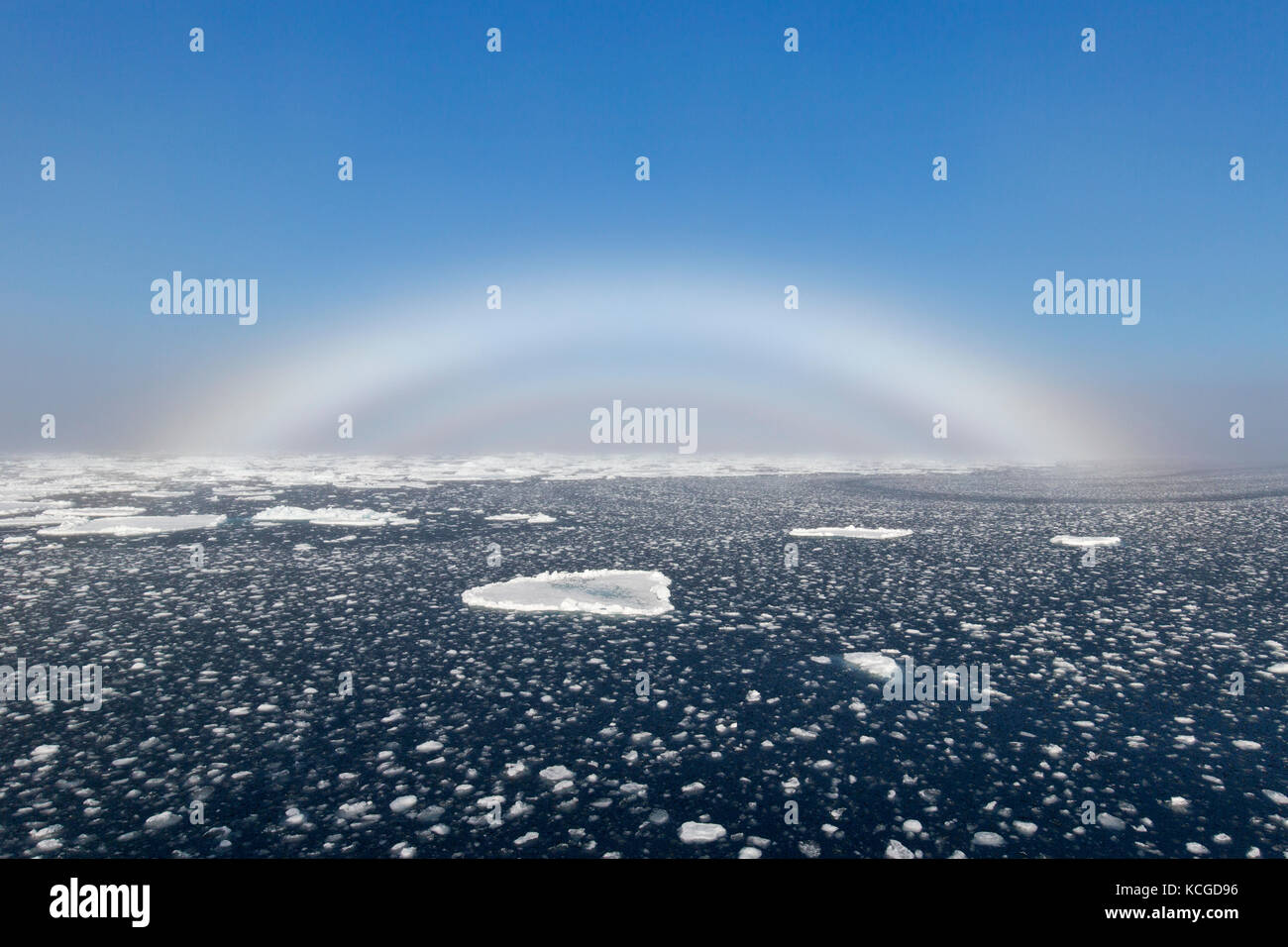 Fogbow / arc / white rainbow / chien de mer sur la mer arctique à Svalbard, Norvège Banque D'Images