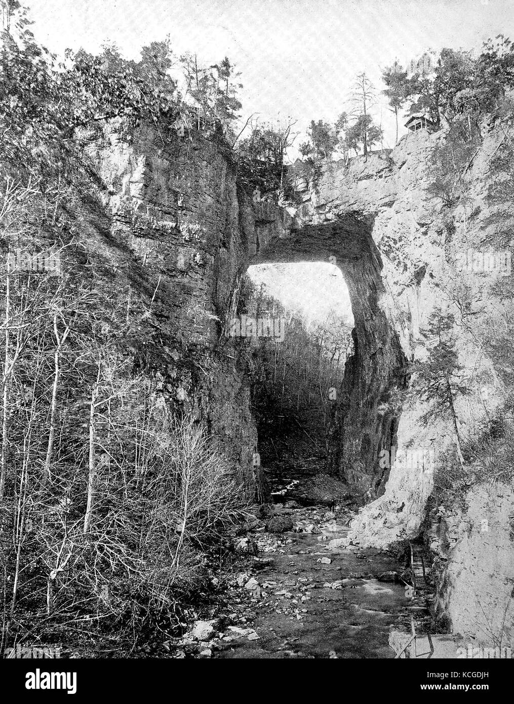 États-unis d'Amérique, du paysage dans les montagnes Blue Ridge, un pont de roche naturelle, l'état de Virginie, l'amélioration numérique reproduction d'une photo historique de l'année 1899 (estimé) Banque D'Images