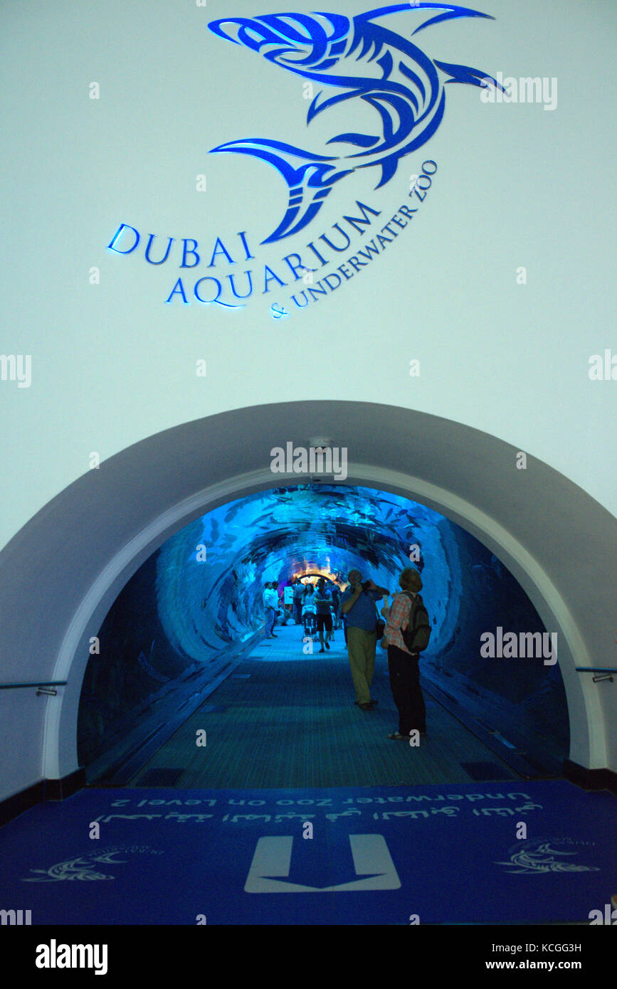 Aquarium de Dubaï dans le Mall of the Emirates, Dubaï, Émirats arabes Unis Banque D'Images