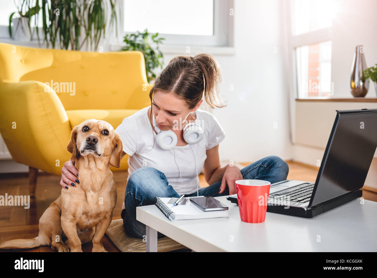 Femme assise sur le sol et caresser chien à la maison Banque D'Images