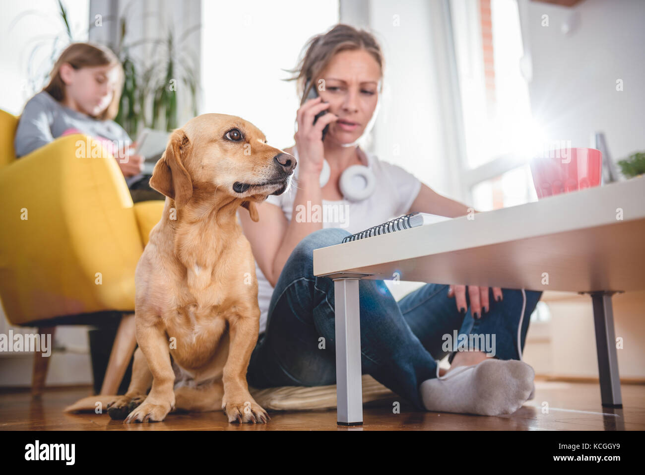 Petit chien jaune assis sur le plancher par femme qui parle sur le téléphone intelligent Banque D'Images Petit chien jaune assis sur le plancher par femme qui parle sur le téléphone intelligent Banque D'Images