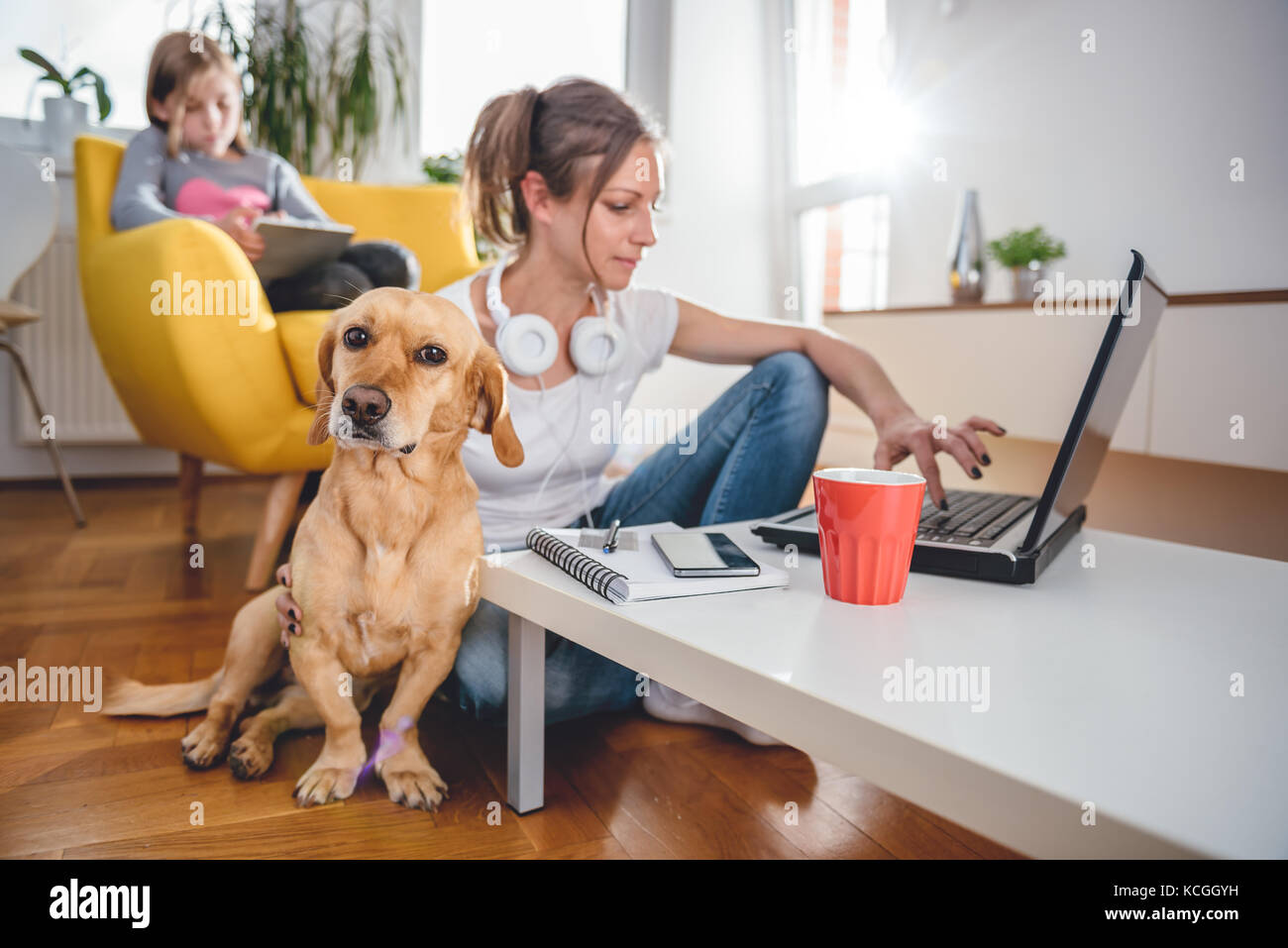 Petit chien jaune assis sur le plancher par la femme qui est lui à la maison pour enfants Banque D'Images Petit chien jaune assis sur le plancher par la femme qui est lui à la maison pour enfants Banque D'Images