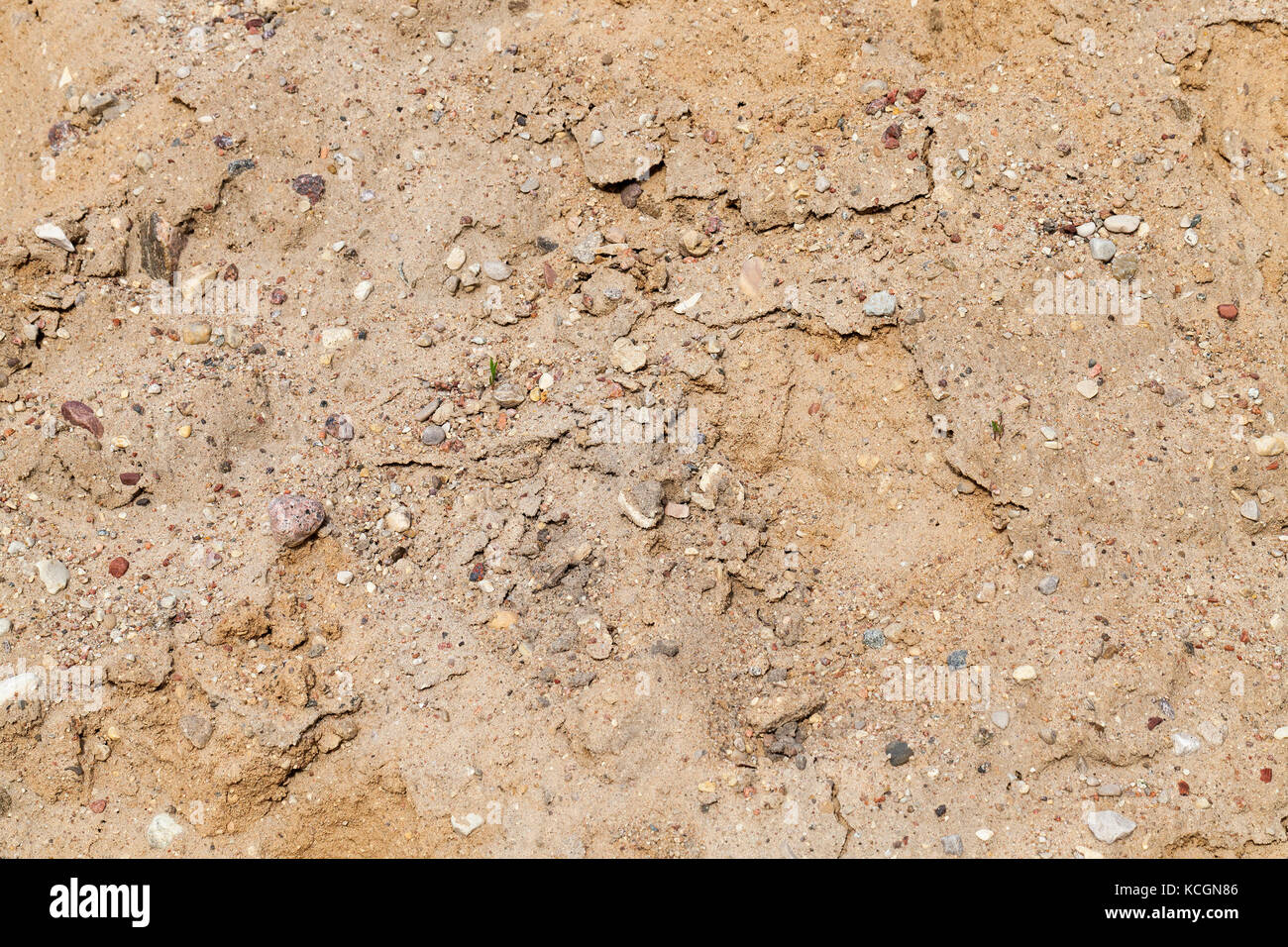 La texture du sable couleur marron. Le sable est photographié close-up, et  est nécessaire pour la construction. contexte du sable fin Photo Stock -  Alamy