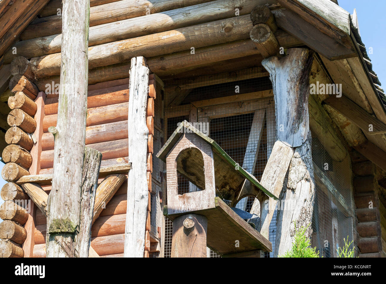 Petit pigeonnier les pigeons, fait de bois. photo gros plan d'une