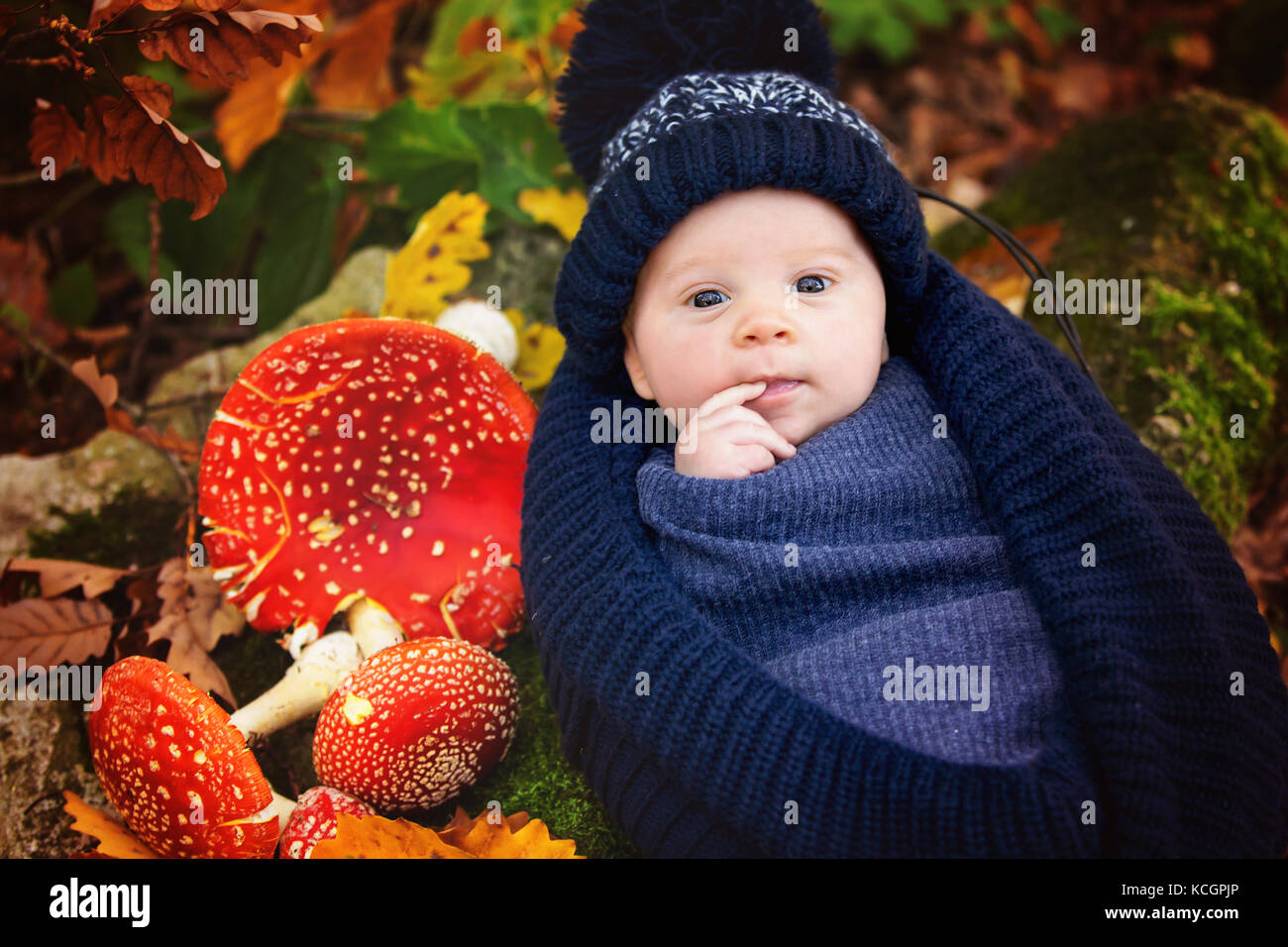 Petit garçon nouveau-né, enveloppé dans une écharpe, couché dans panier en forêt, Amanita muscaria champignons à côté de lui Banque D'Images