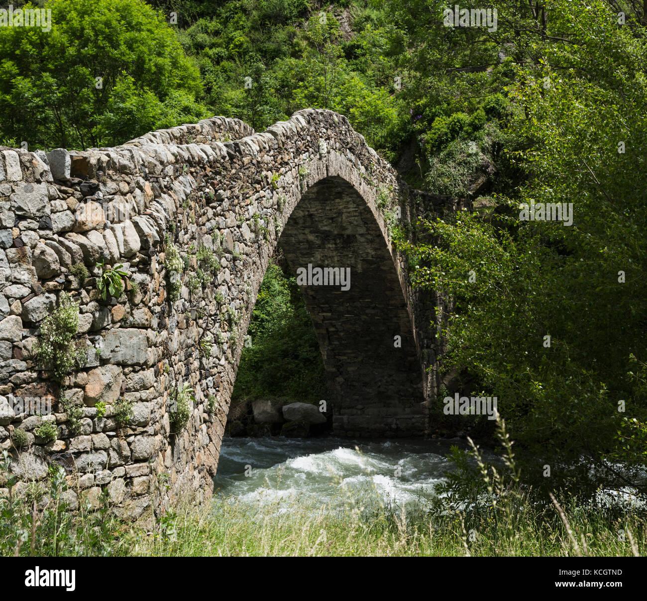 Principauté d'Andorre. pont de la margineda, ou la margineda bridge à la margineda. l'arche unique du pont à dos bosse date de la fin du moyen Banque D'Images