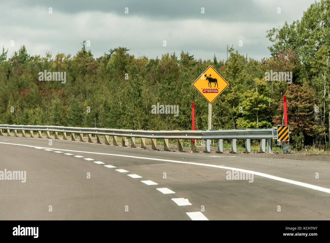 Inscrivez-vous sur le trafic de diamants jaune attention avertissement moose crossing, posté à côté de la route transcanadienne au Québec Banque D'Images