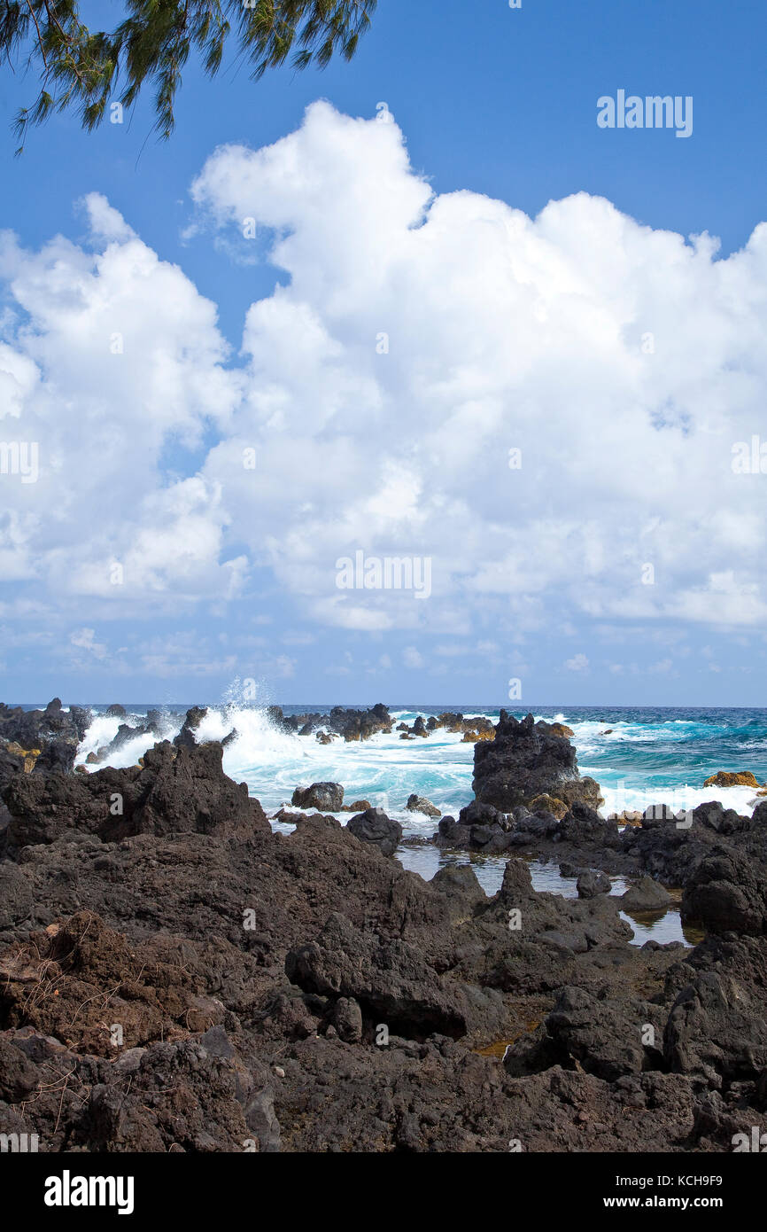 Les vagues et les roches de lave, Maui, Hawaii Banque D'Images