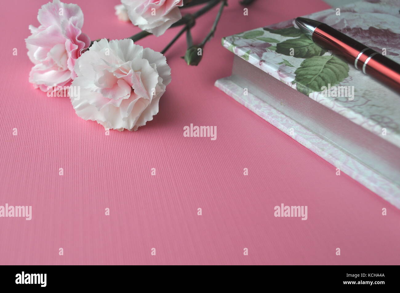 Fond rose avec des œillets, carnet et un stylo avec l'exemplaire de l'espace. Banque D'Images