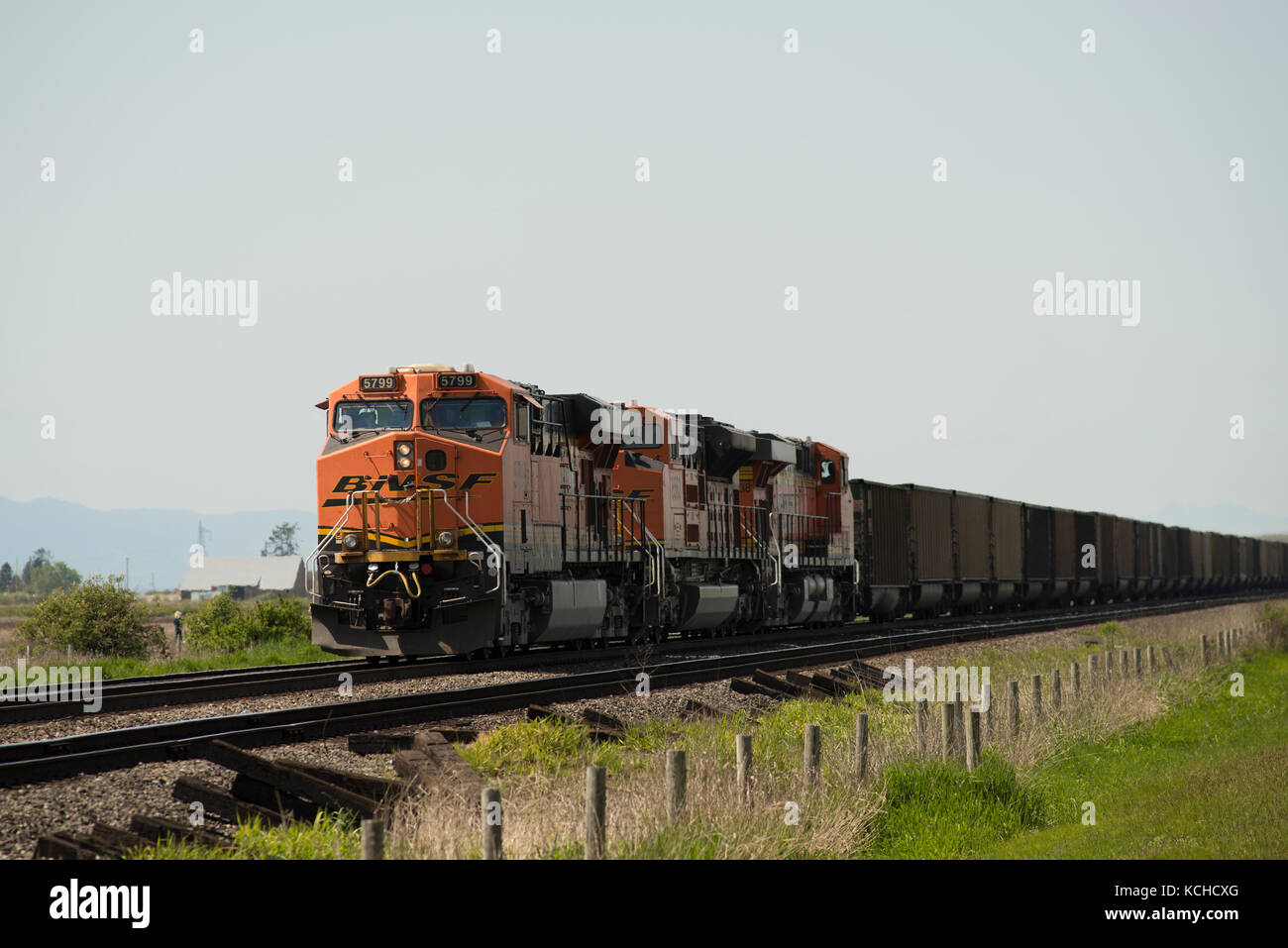 BNSF Train de charbon vide laissant Superport Roberts Bank, Delta, Colombie-Britannique, Canada Banque D'Images