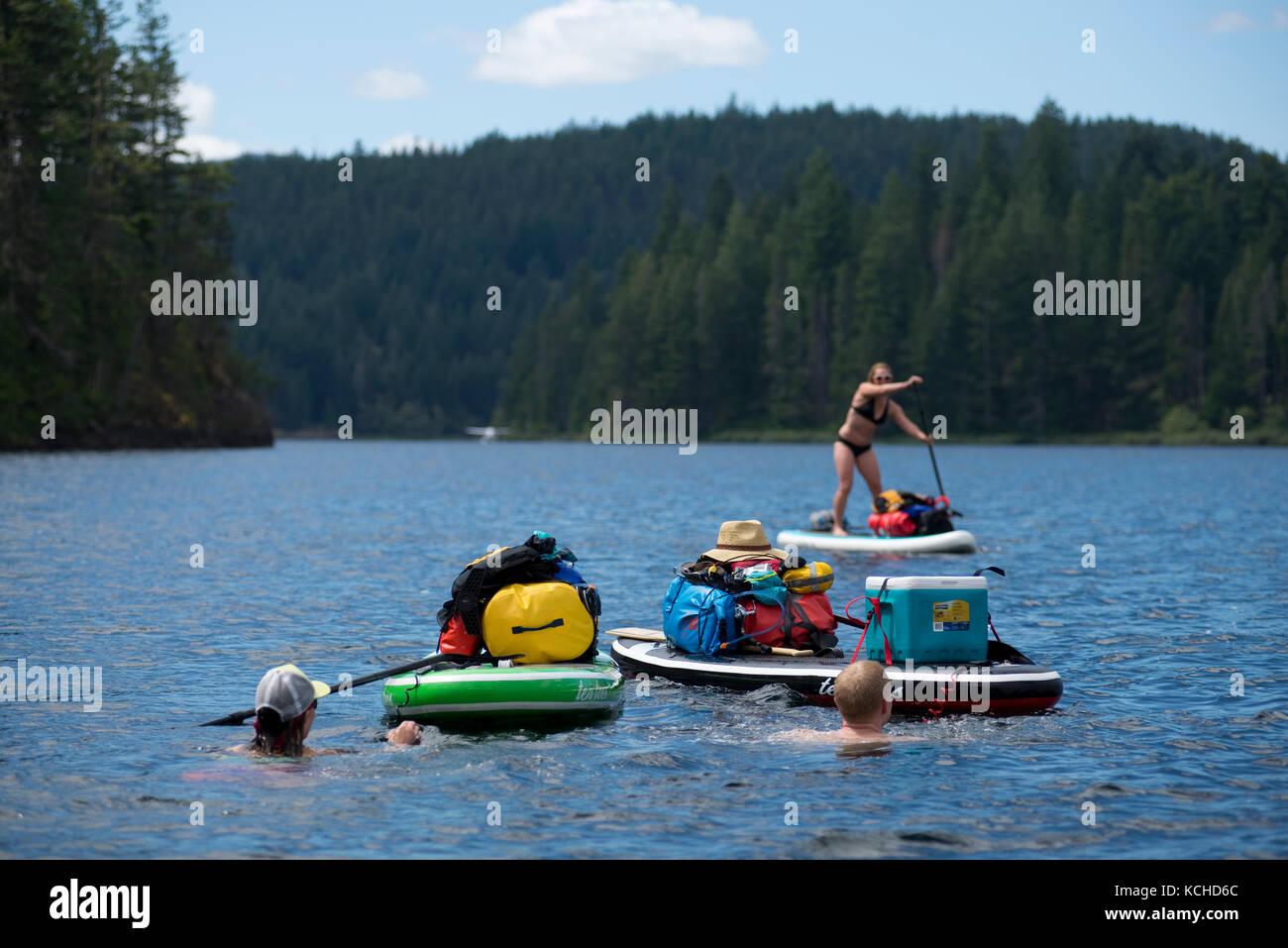 Stand-up paddleboard (SUP) 850 dans le parc provincial du lac principal, l'île Quadra. British Columbia, Canada Banque D'Images