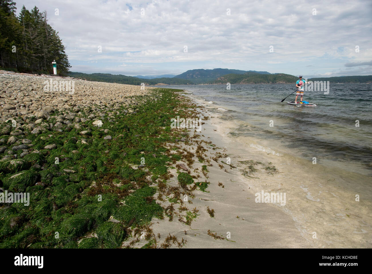 Stand-up paddleboard (SUP) 850 dans Heriot Bay, l'île Quadra. British Columbia, Canada Banque D'Images
