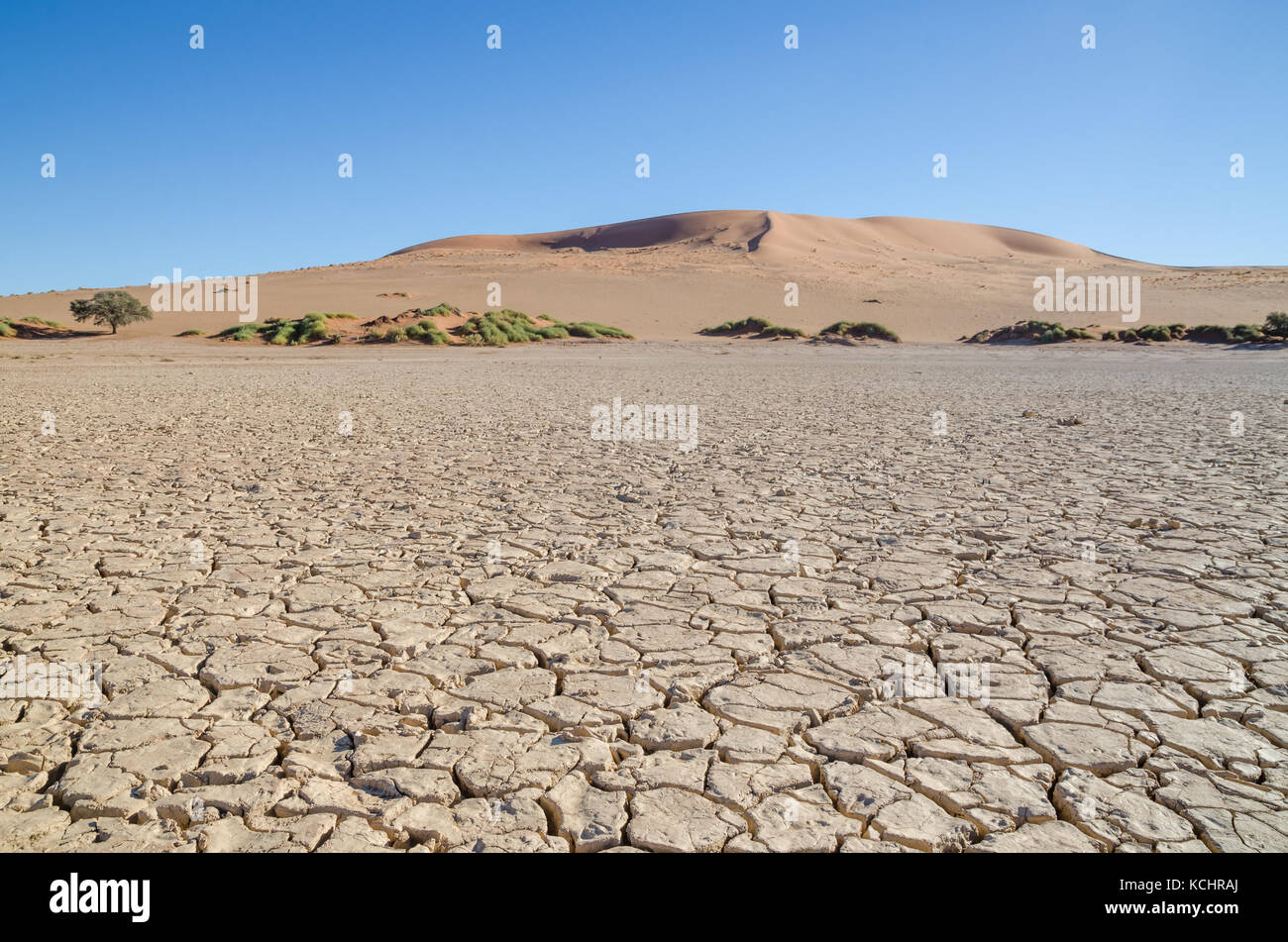 Belles hautes dunes de sable rouge et sec à la surface de l'argile fissurée célèbre sossusvlei dans le désert de Namib, Namibie, Afrique Banque D'Images
