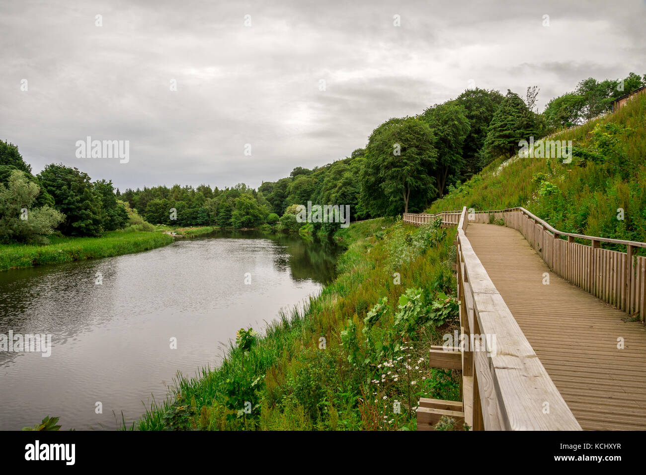 Passerelle en bois pour piétons le long de la rivière Don à seaton park, ville Aberdeen, Écosse Banque D'Images