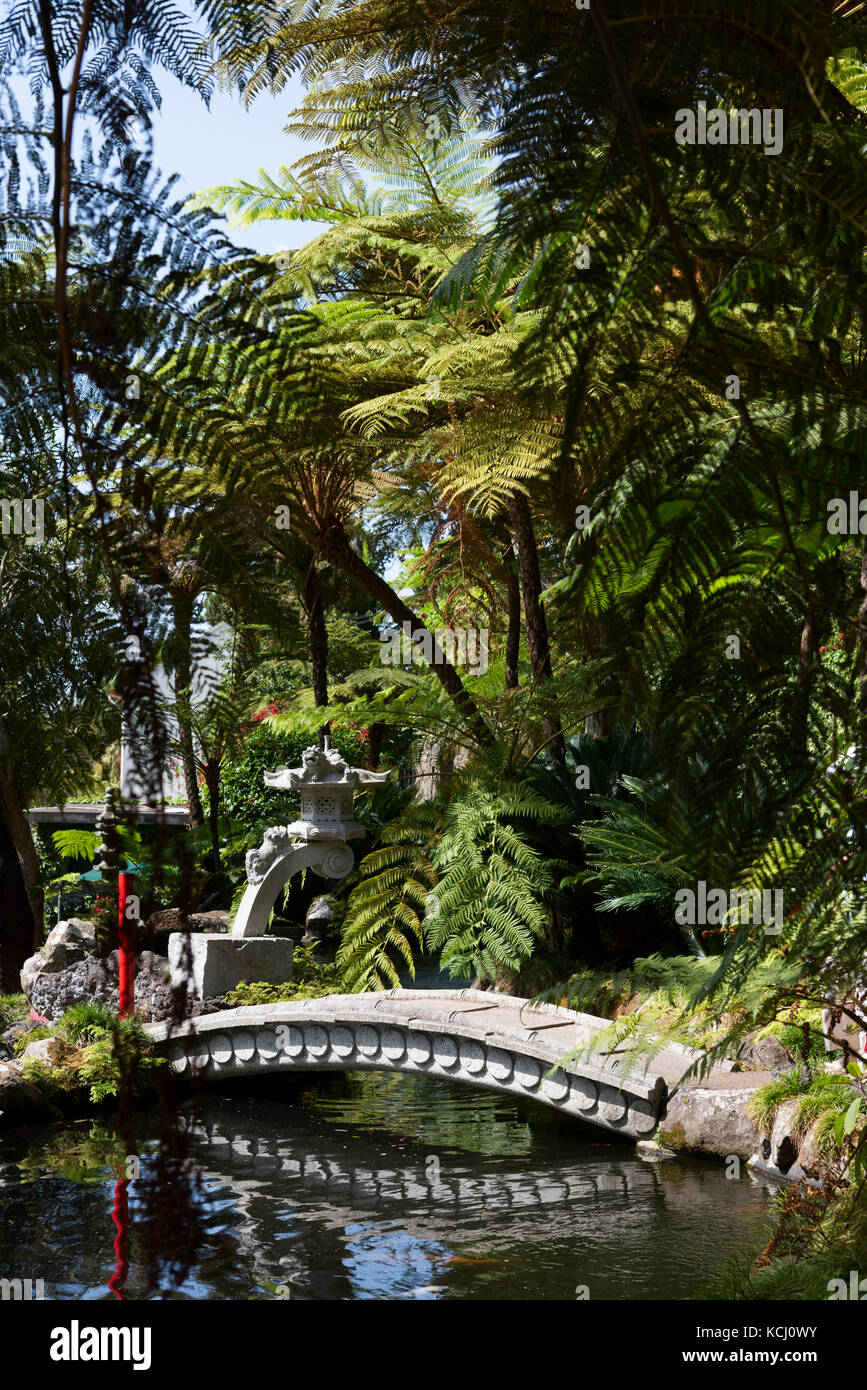 Le paisible des jardins tropicaux de Monte Palace près de Funchal à Madère Banque D'Images
