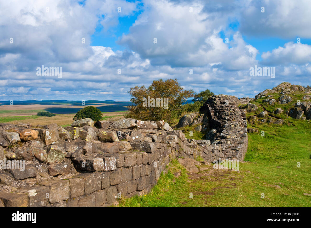 Section du mur des Hadriens romains à Walltown Crags Greenhead Northumberland Angleterre Royaume-Uni Grande-Bretagne Banque D'Images