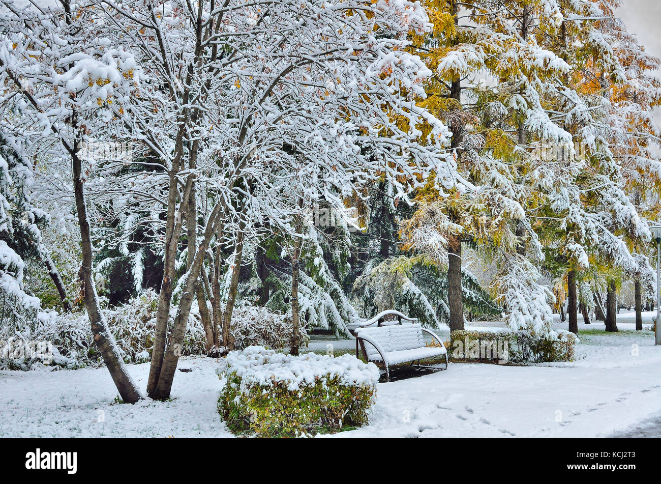 L'évolution des saisons dans le paysage urbain. un coin tranquille de city park - Couleurs d'automne nature couvre la première neige Banque D'Images