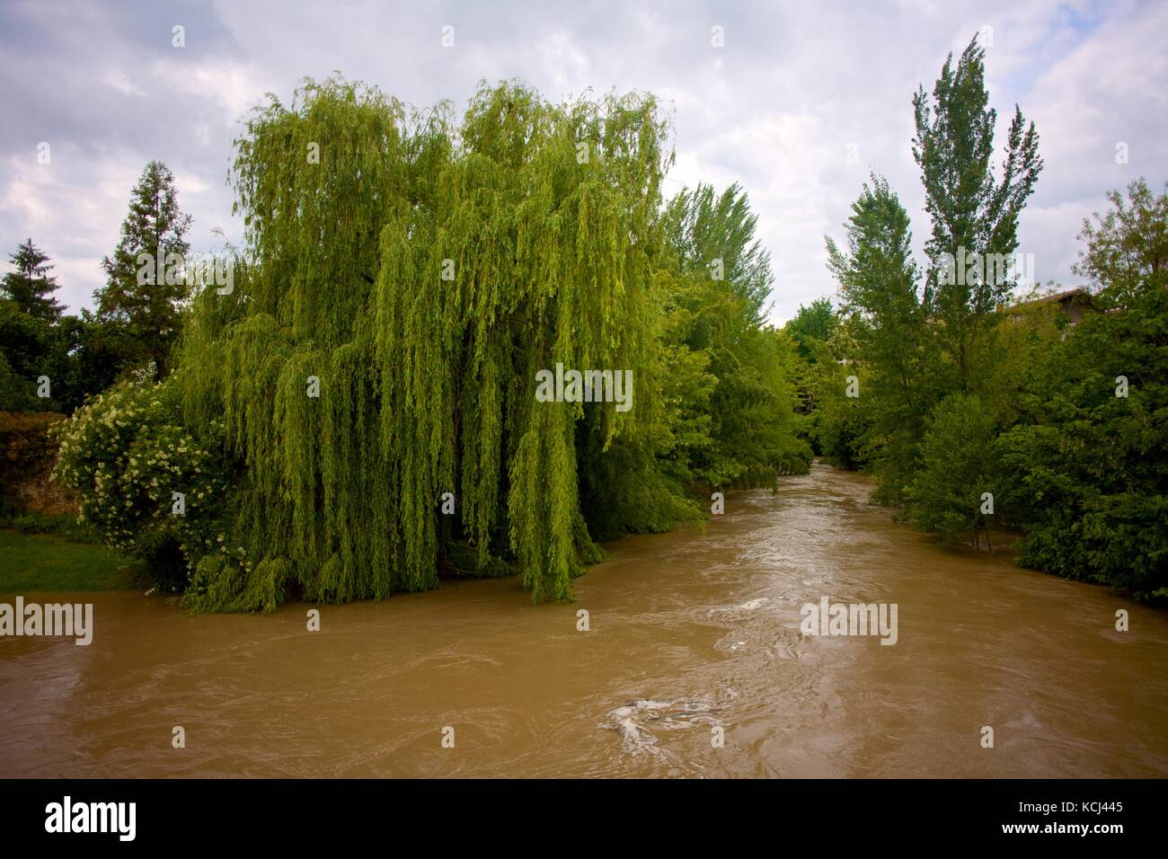 Willow sur la rivière débordant c'est banques dans une petite ville de france Banque D'Images