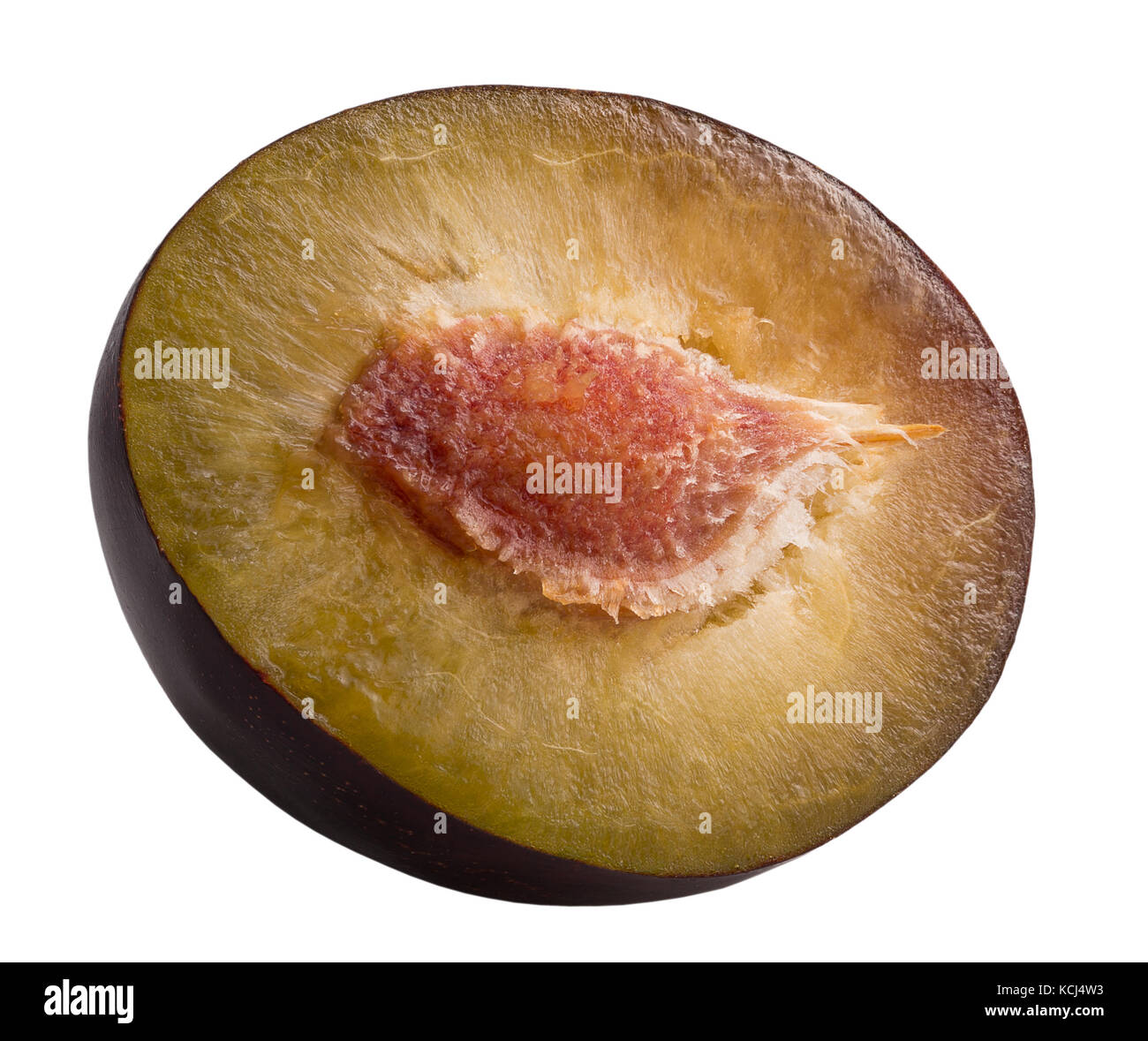 La moitié de prune isolé sur un fond blanc. Banque D'Images