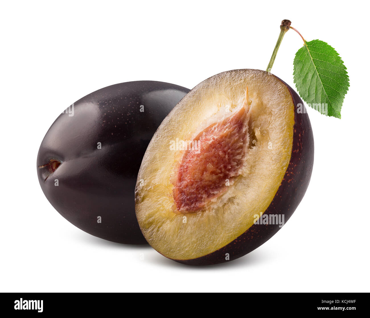 Avec la moitié de plum plum isolé sur un fond blanc. Banque D'Images