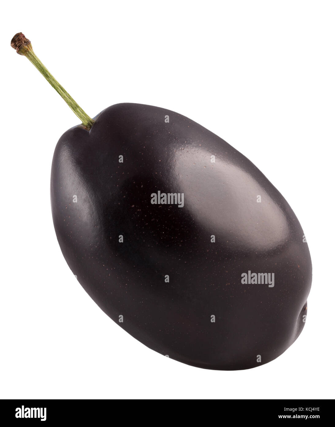 Plum isolé sur un fond blanc. Banque D'Images