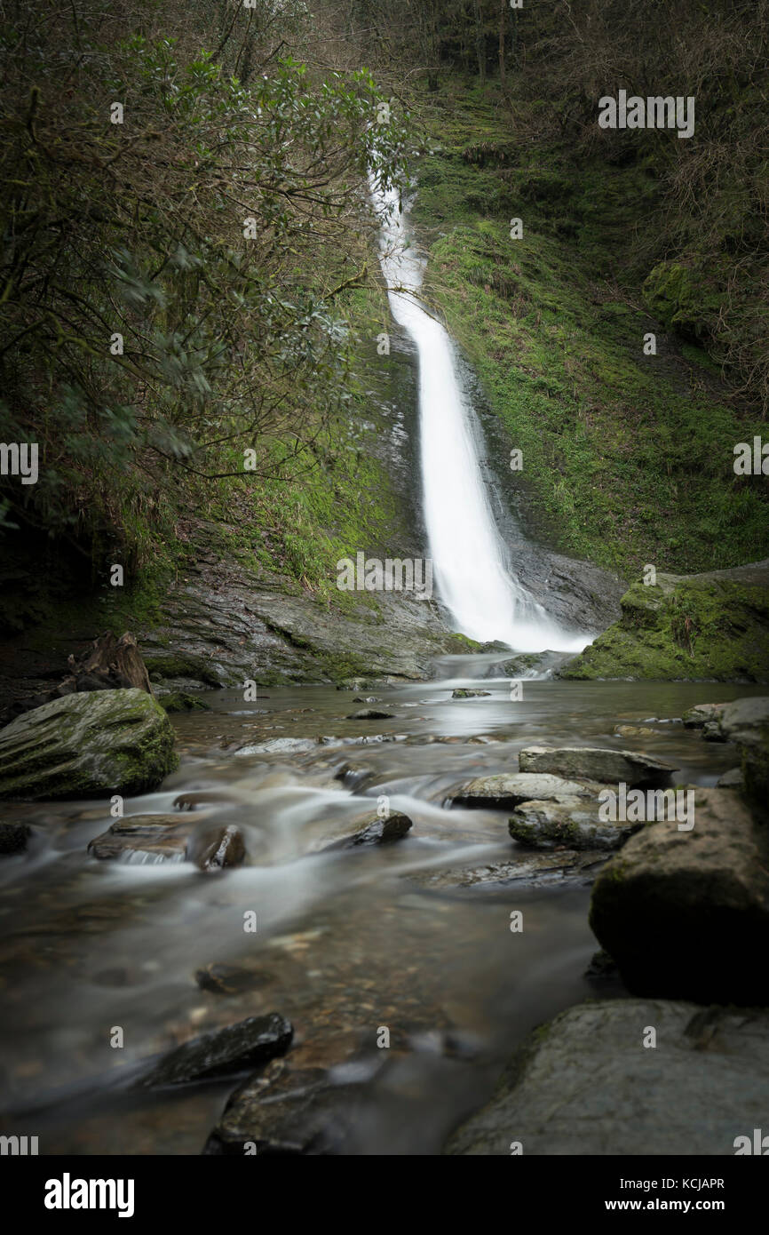 White lady falls Banque D'Images