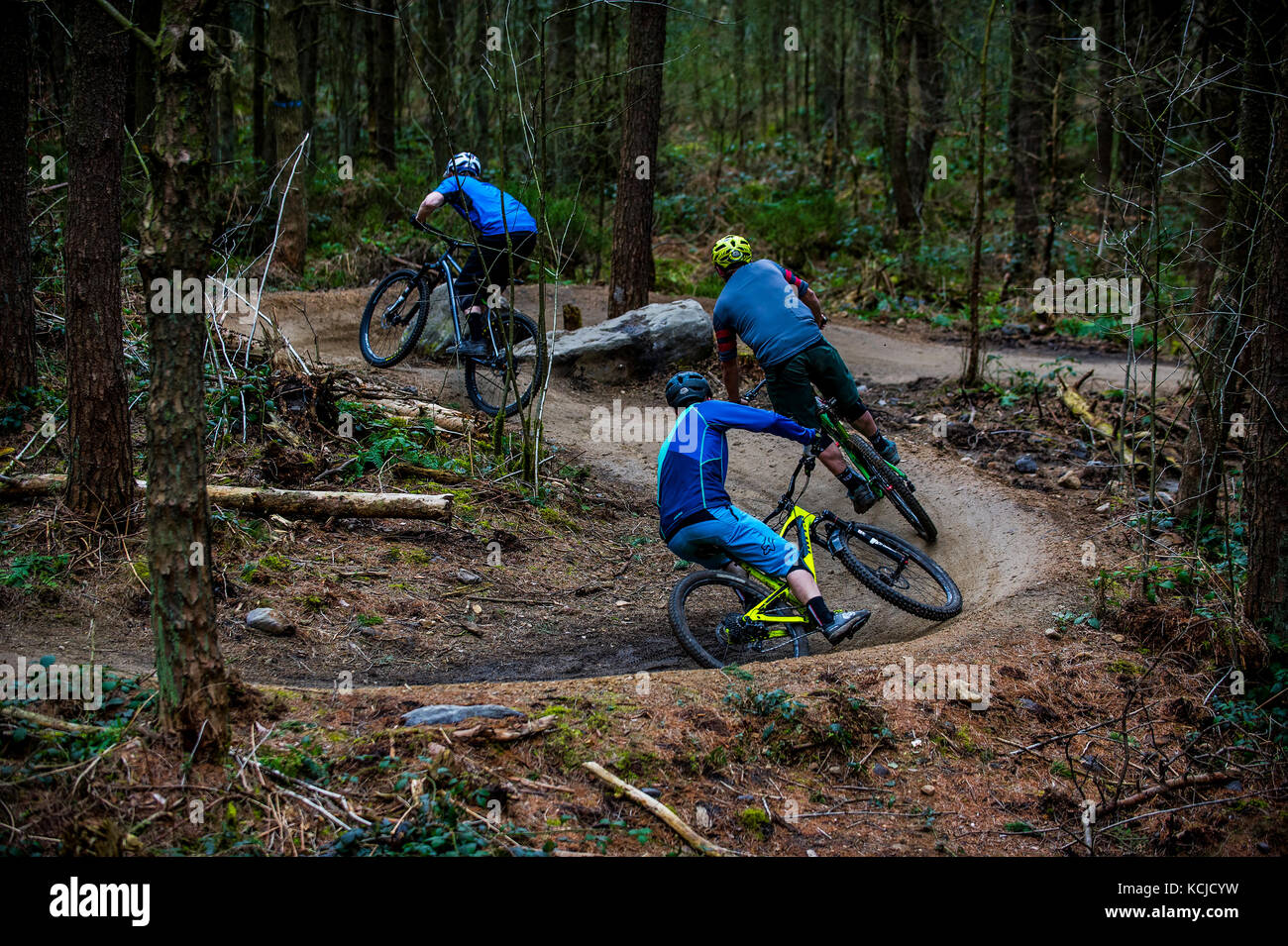 Mountain biker ride un sentier dans Lady Cannings plantation près de Sheffield dans le Yorkshire du Sud. Banque D'Images