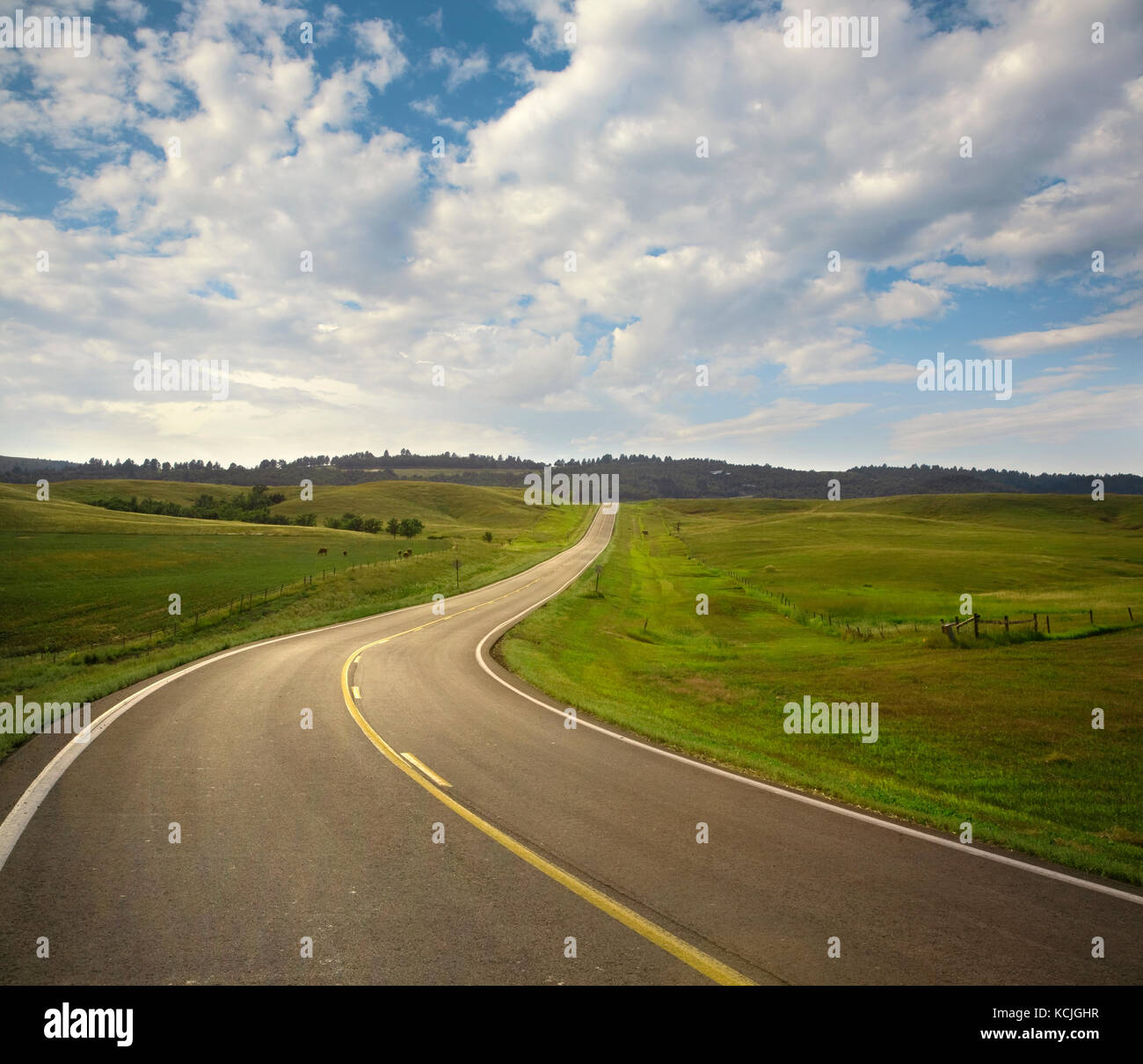 Un curving road dans le Black Hills du Dakota du Sud sur un après-midi ensoleillé Banque D'Images