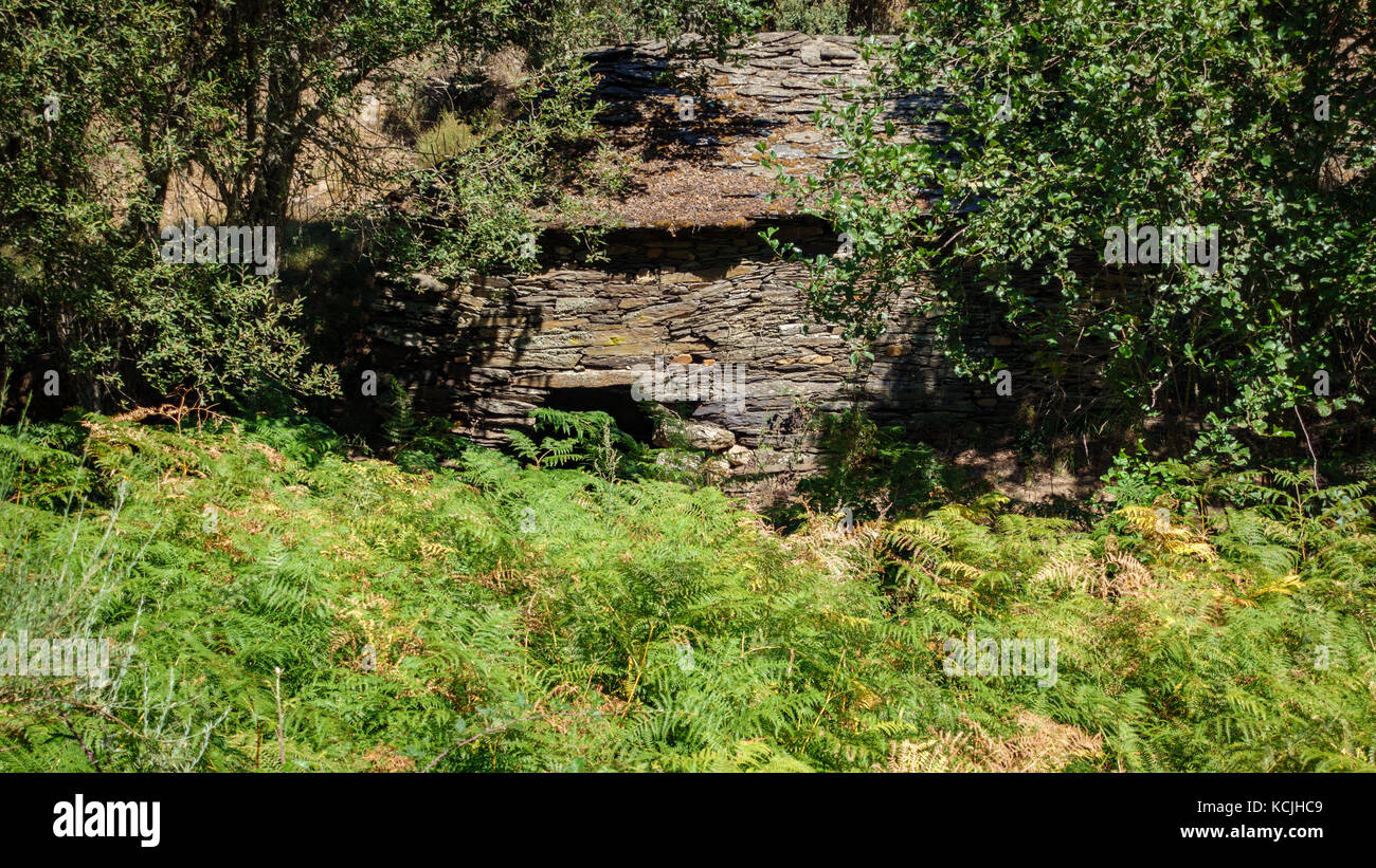 Vintage ancien moulin à eau perdue dans la forêt Banque D'Images