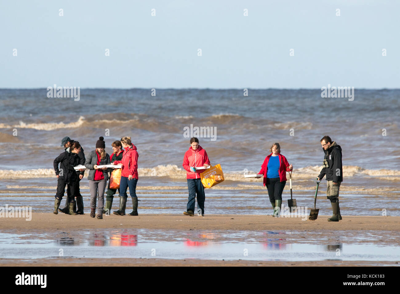 Southport, Merseyside, ensoleillée à Southport. 6 octobre 2017. Météo britannique. La biologie marine, les élèves examinent la mer la vie comme de belles poutres soleil automne chaud sur le sable doré de la plage de Southport Merseyside. Credit : Cernan Elias/Alamy Live News Banque D'Images