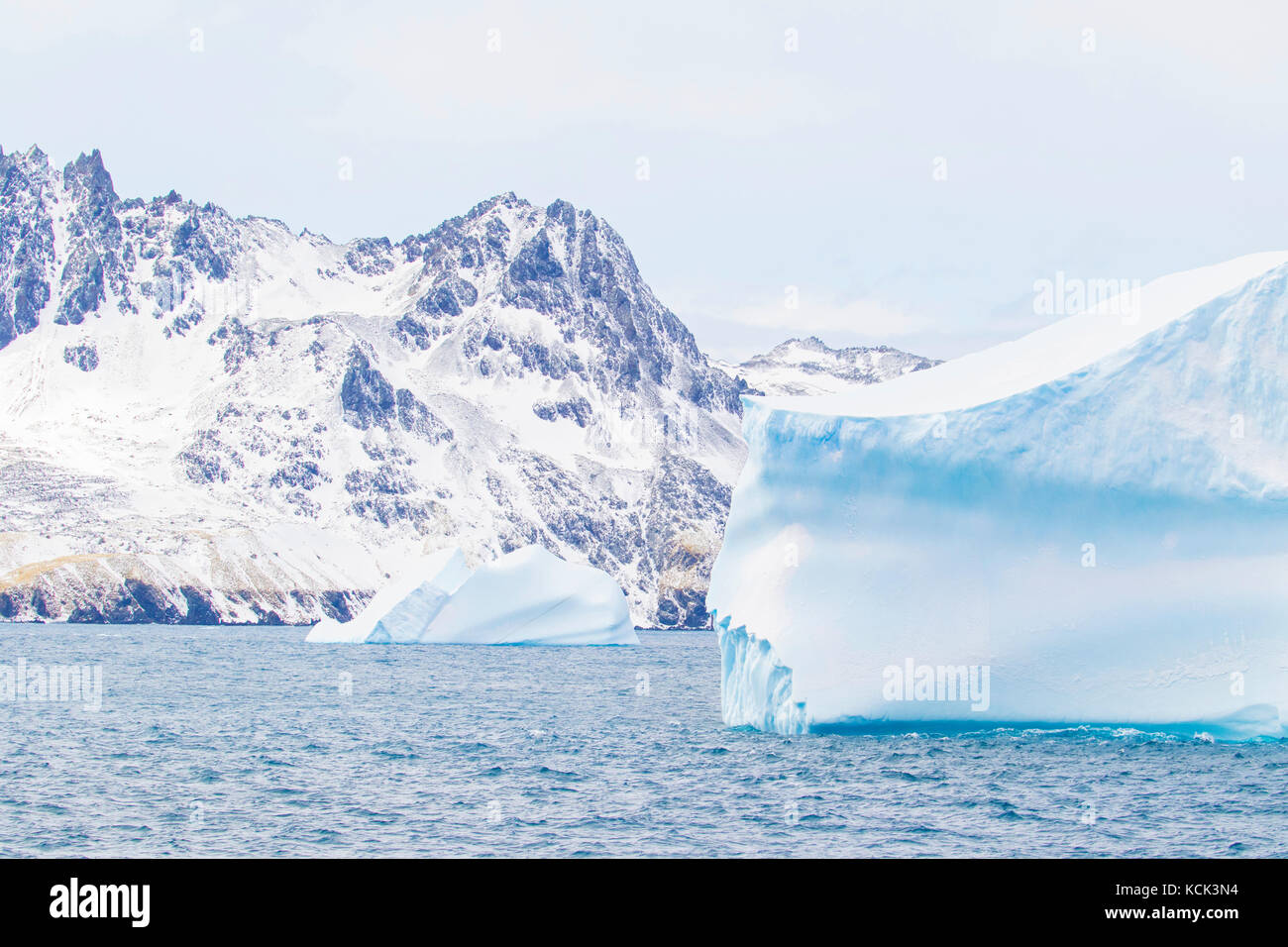 Les icebergs dans la Géorgie du Sud et les îles Sandwich du Sud Banque D'Images