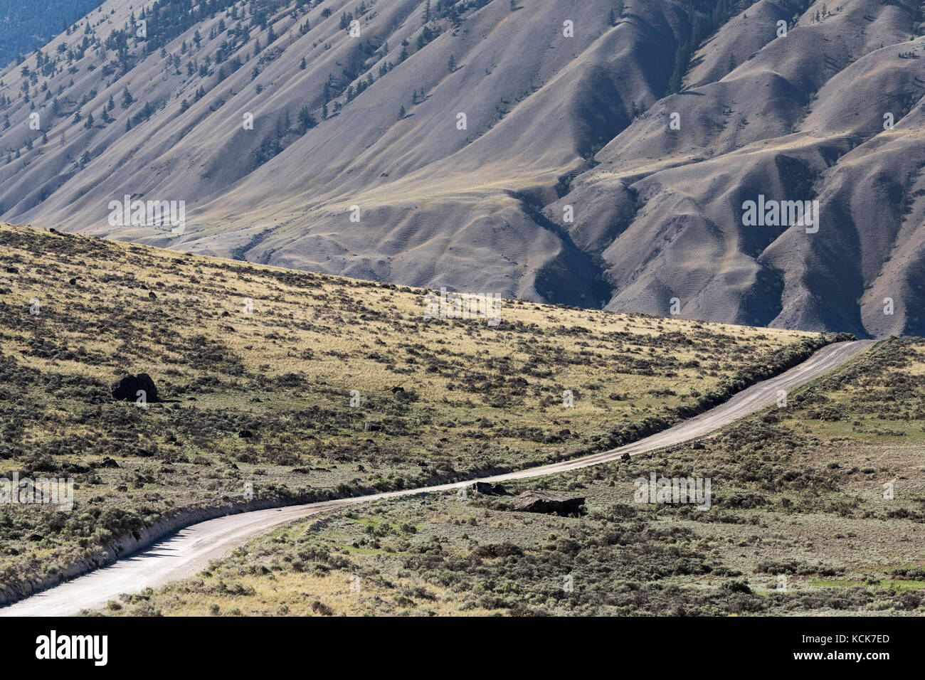 Le Canada, la Colombie-Britannique, Cariboo, canyon du fleuve Fraser, les prairies, l'armoise, ranchlands, route, de l'arrière-pays, la route de la route de retour, panoramique, paysage, été, horizontal, Banque D'Images