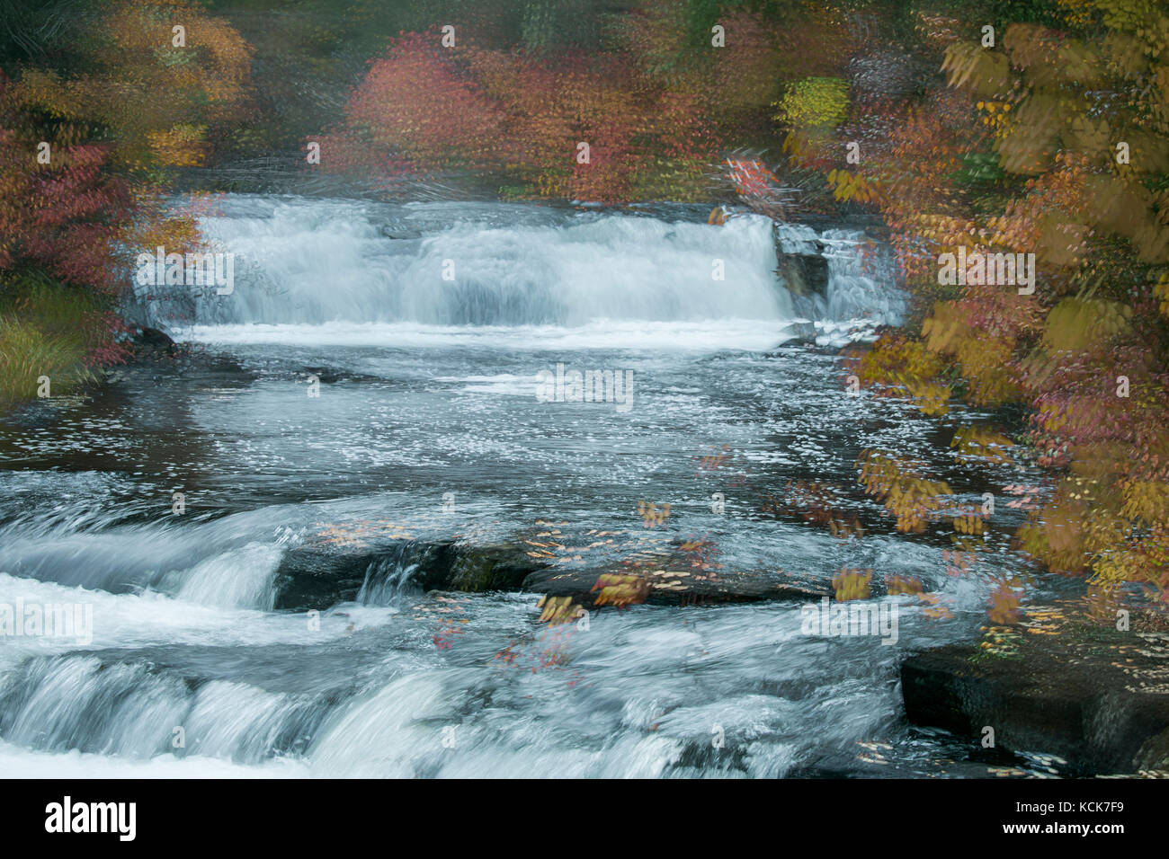 Le Canada, la Colombie-Britannique, le Centennial Park, 100 Mile House, Cariboo, Bridge Creek Falls, paysage abstrait, Automne, couleurs de l'automne, l'art, l'art photographique, expressionniste, impressionniste, couleur, horizontal, Banque D'Images