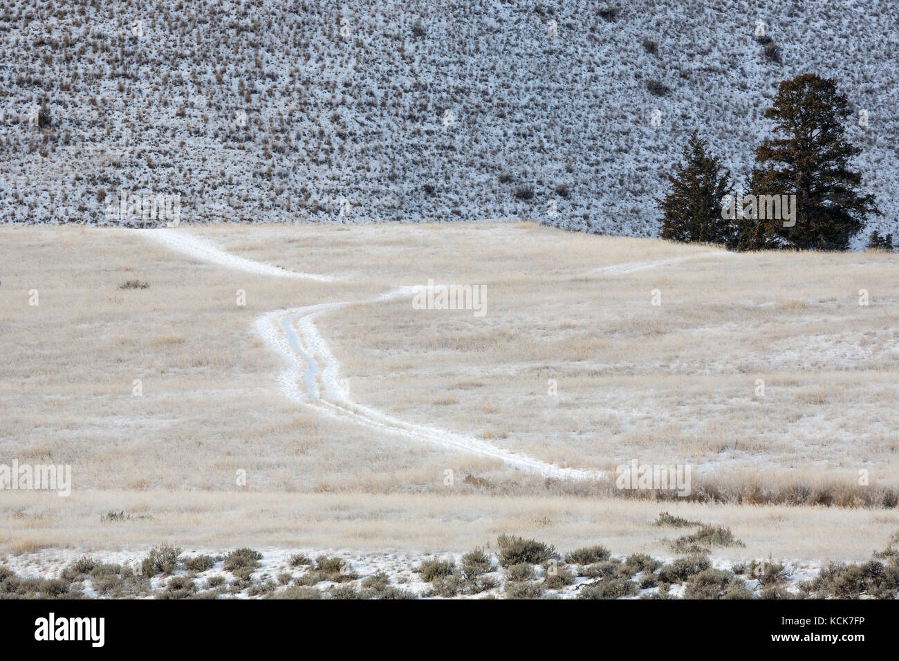 Le Canada, la Colombie-Britannique, Chilcotin, Chilcotin Arche, les Prairies, l'hiver, route, route de l'arrière-pays, paysage, horizontal, de couleur Banque D'Images