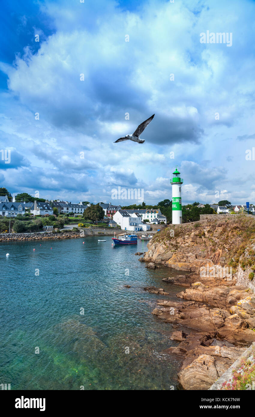DOELAN FINISTÈRE BRETAGNE FRANCE mouette survolant le port de pêche avec phare derrière Doelan, Moelan sur mer, Finistère, Bretagne France Banque D'Images