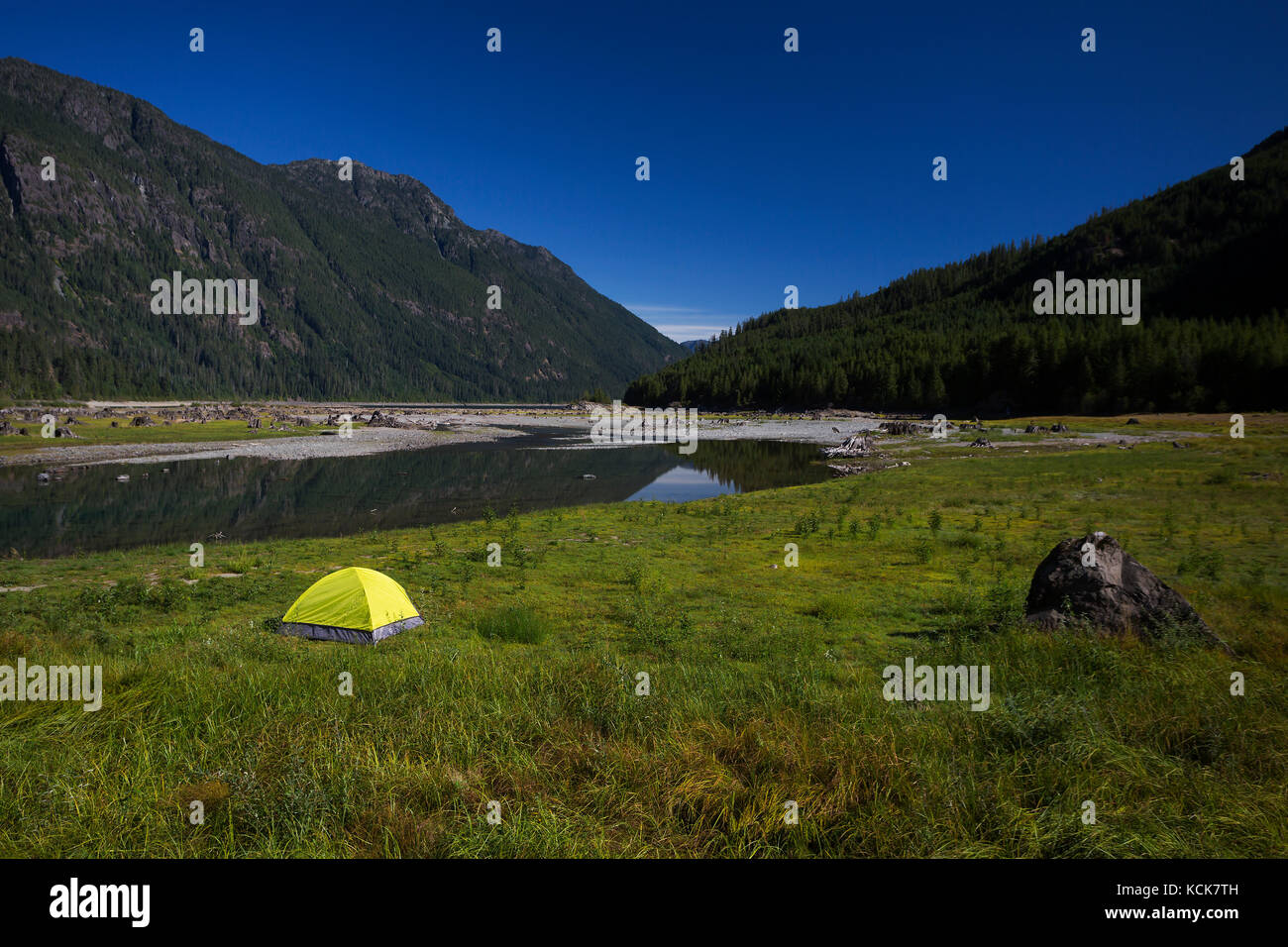 Une famille tente vert vif à la tête de Buttle Lake dans le parc Strathcona fournit un contraste d'un ciel bleu clair, le parc Strathcona, l'île de Vancouver, Colombie-Britannique, Canada. Banque D'Images