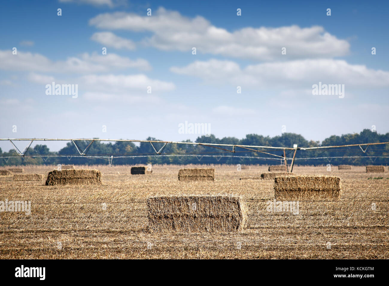 Champ avec le ballot de paille et l'agriculture système de gicleurs à pivot central Banque D'Images